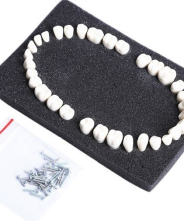 Fantom Menamin 32’lik Takım Diş (Fraseco Çene Uyumlu)