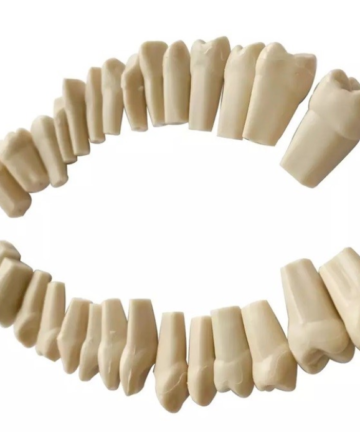 Fantom Diş Tekli Melamin (Fraseco Çene Uyumlu)